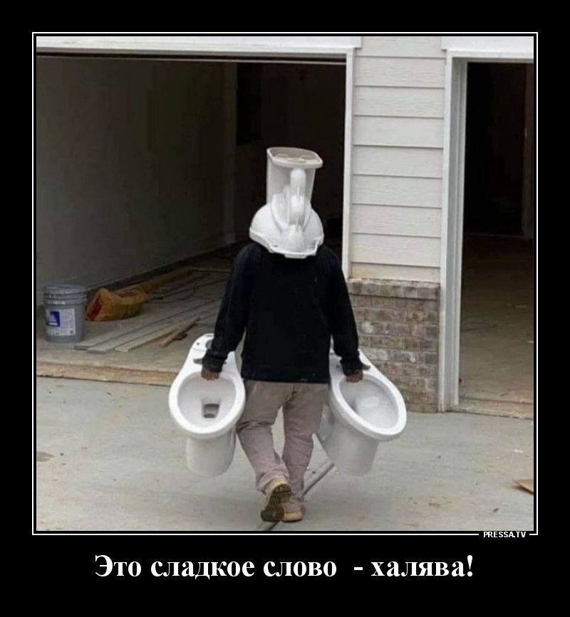 тззми Это сладкое слово халява