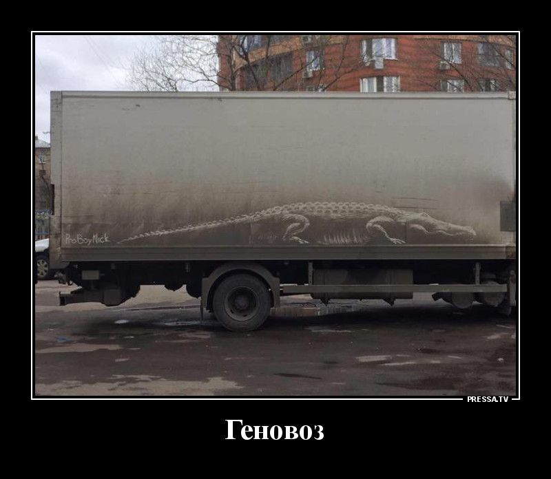 жизни Геновоз