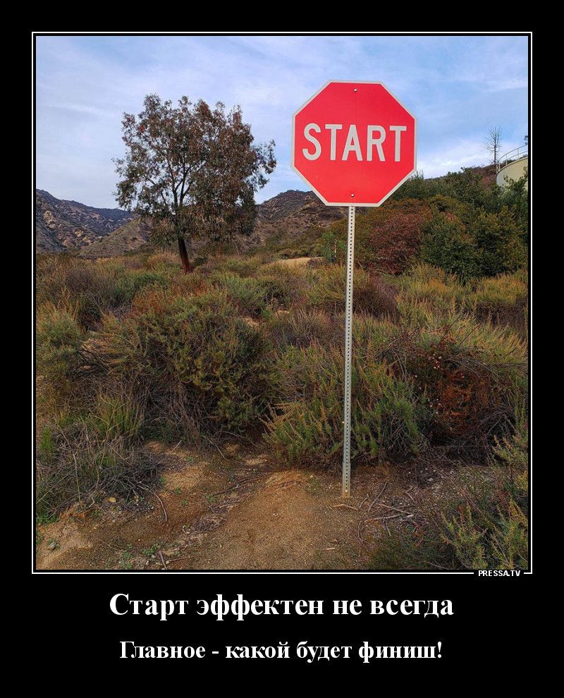 тззпч Старт эффектен не всегда Главное какой будет финиш