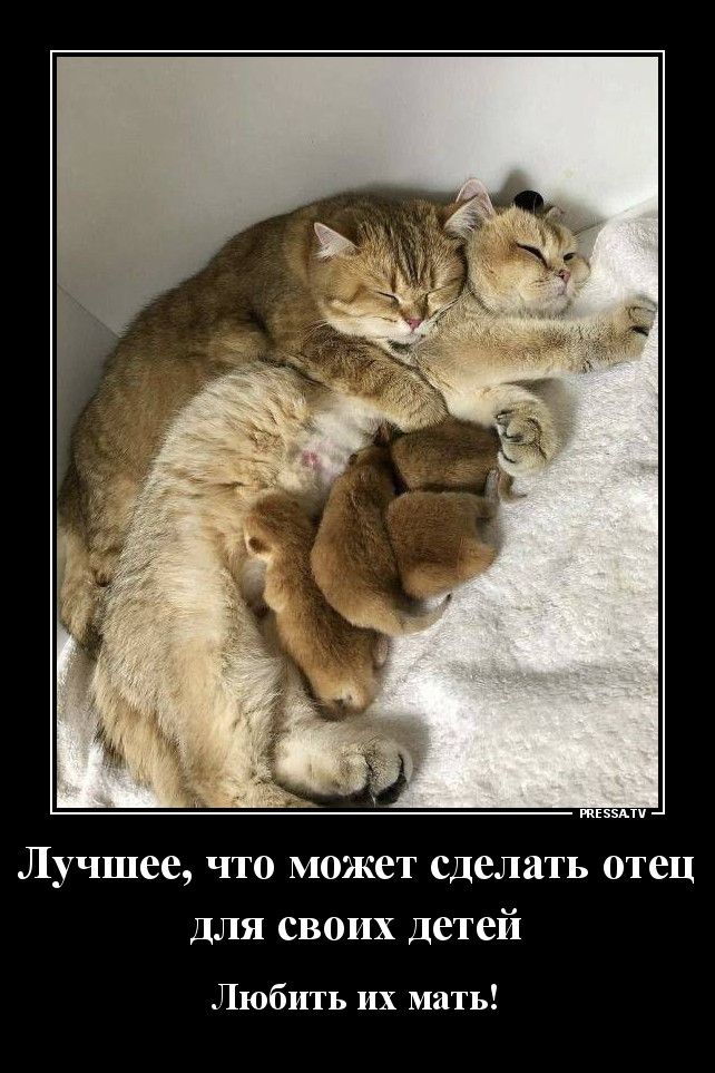 РАЕБЗА ТИ Лучшее что может сделать отец для своих детей Любить их мать