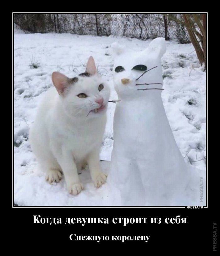 Когда девушка строит из себя Снежную королеву