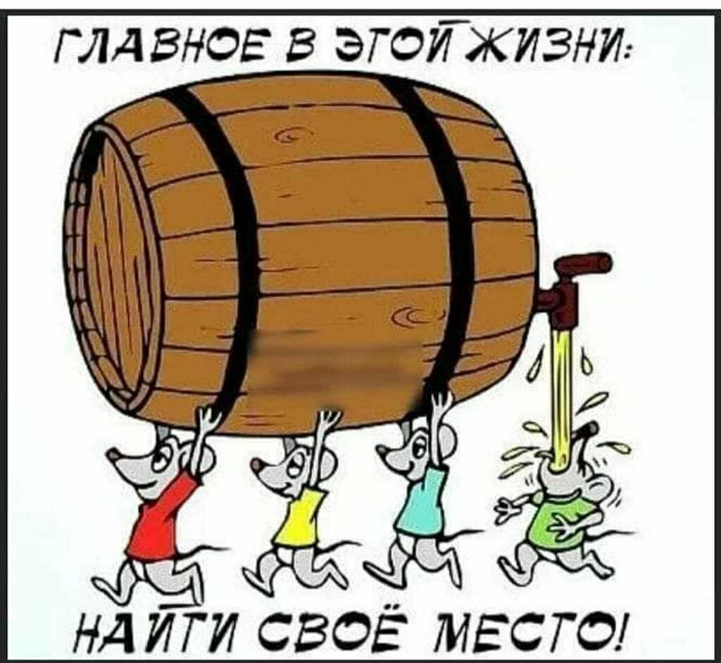 ГЛАВНОЕ В ЭГОИЖИЗНИ НДИГИ СВОЁ МЕСТО