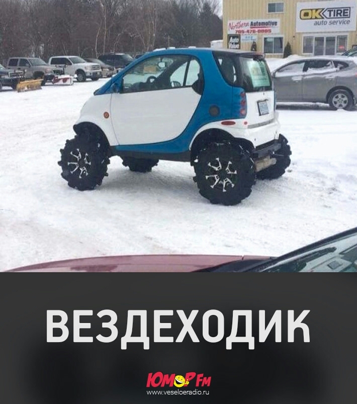ВЕЗДЕХОДИК тМшэзэЬегаш
