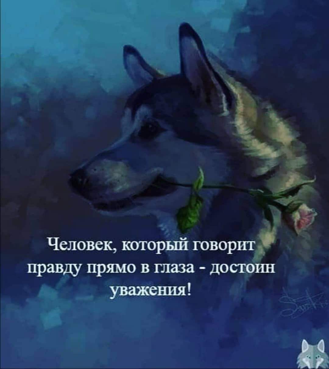 Человек когорінй говорит правду прямо в шава досцо іш