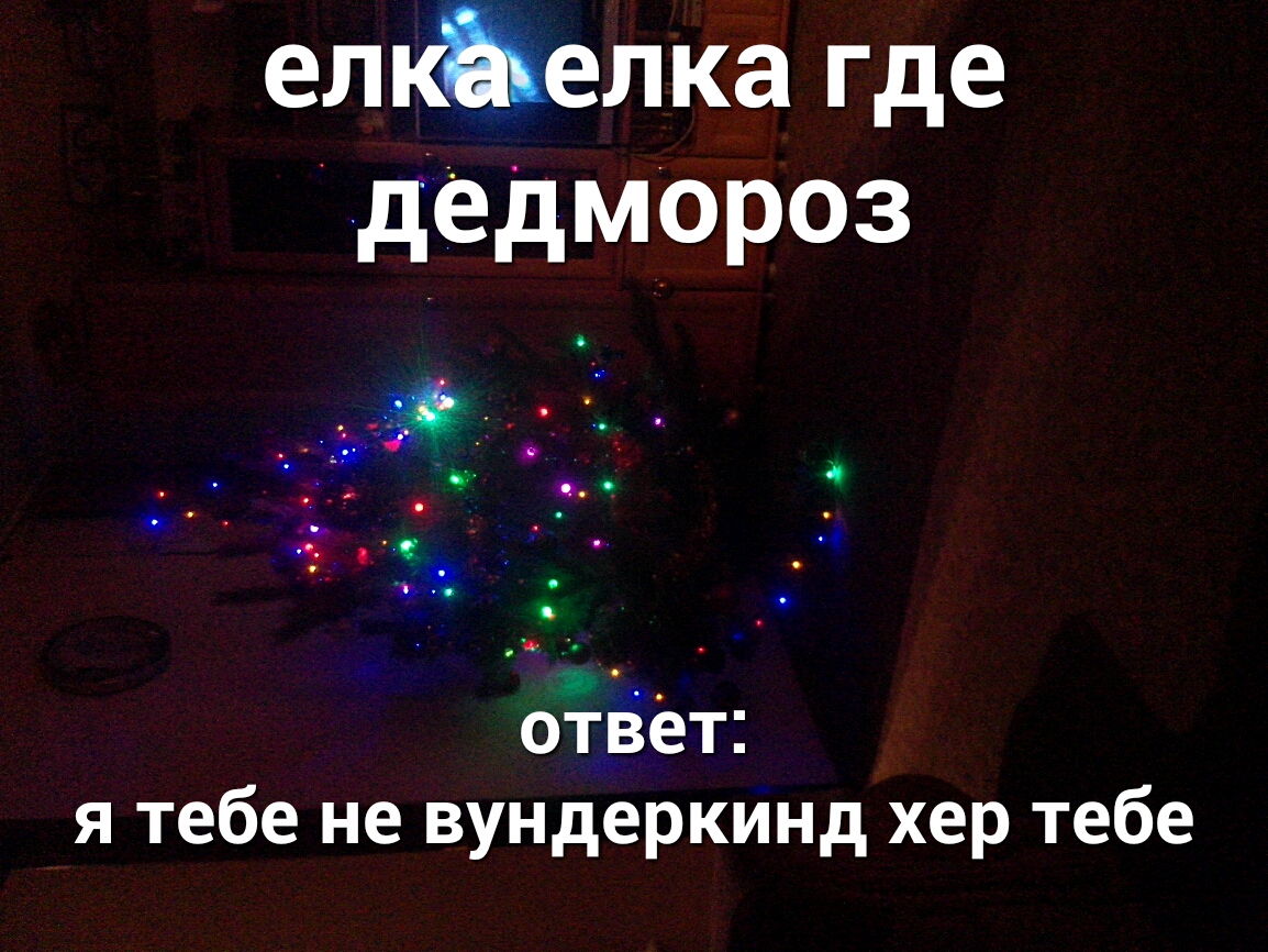 елкЪелка где дедмороз оіёет я тебе не вундеркинд хер тебе