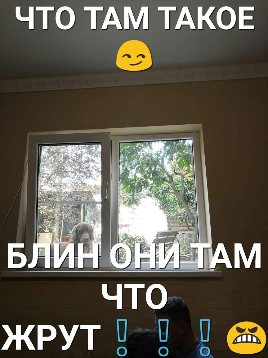 ЧТО ТАМ ТАКОЕ