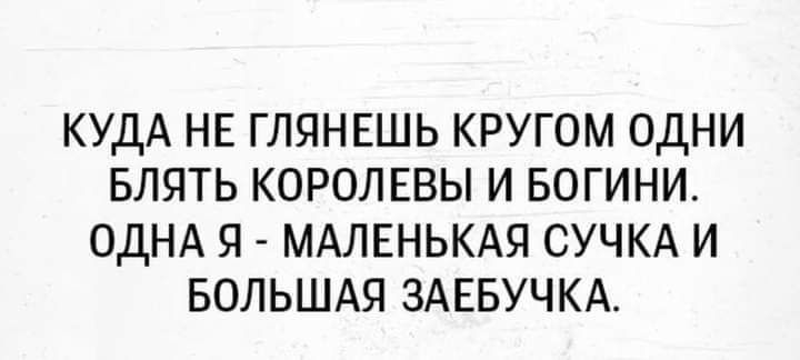КУДА НЕ ГЛЯНЕШЬ КРУГОМ ОДНИ БЛЯТЬ КОРОЛЕВЫ И БОГИНИ ОДНА Я МАЛЕНЬКАЯ СУЧКА И БОЛЬШАЯ ЗАЕБУЧКА