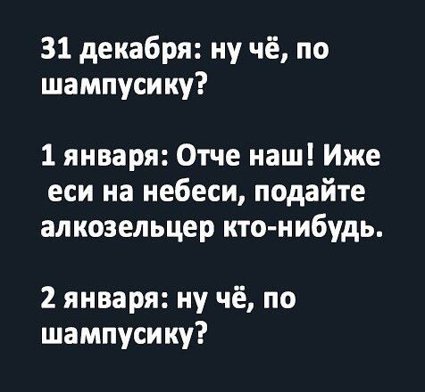 31 декабря ну чё по шампусику 1 января Отче наш Иже еси на небеси подайте алкозельцер кто нибудь 2 января ну чё по шампусику