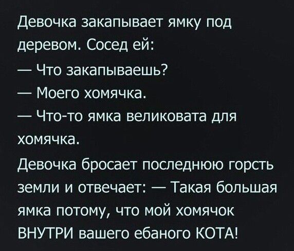 Девочка закапывает ямку под деревом Сосед ей Что закапываешь Моего хомячка Что то ямка великовата для хомячка Девочка бросает последнюю горсгь земли и отвечает Такая большая ямка потому что мой хомячок ВНУТРИ вашего ебаного КОТА