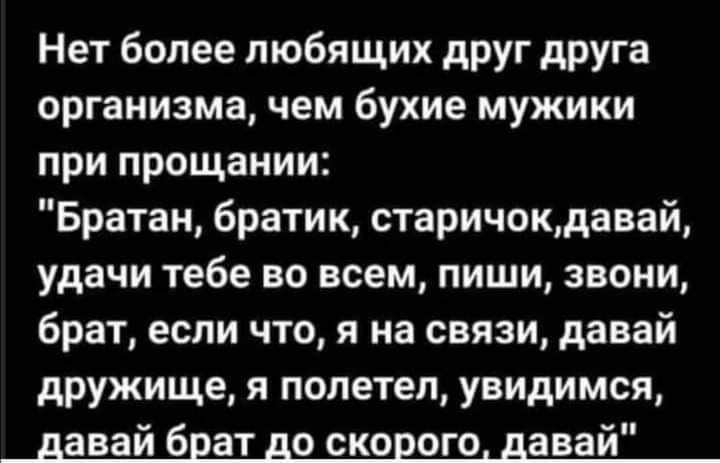 Нет более любящих друг друга организма чем бухие мужики при прощании Братан братик старичокдавай удачи тебе во всем пиши звони брат если что я на связи давай дружище я полетел увидимся давай брат до скорого давай