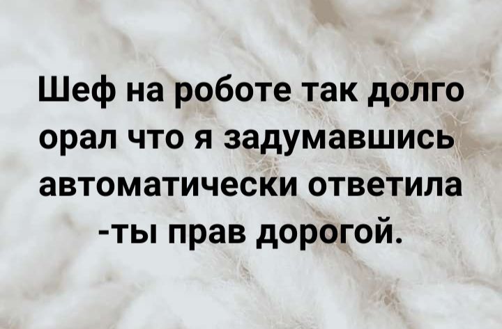 Шеф на роботе так долго орал что я задумавшись автоматически ответила ты прав дорогой