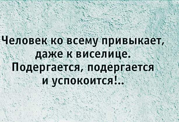 Человекх ко всему прИВьпкаеп дажеквиселице ПодергаетСя подергаётся и успокоится
