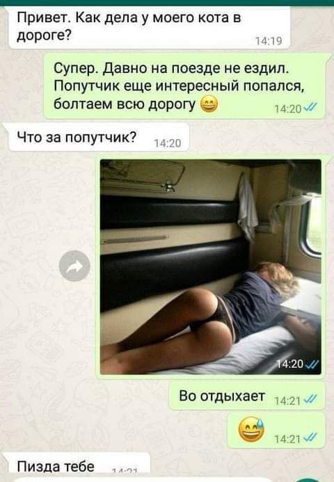 Привет Как дела у моего кота в дороге Супер Давно на поезде не ездил Попутчик еще интересный попался болтаем всю дорогу чиж Что за попутчик Во отдыхает дд и 21 Пизда тебе