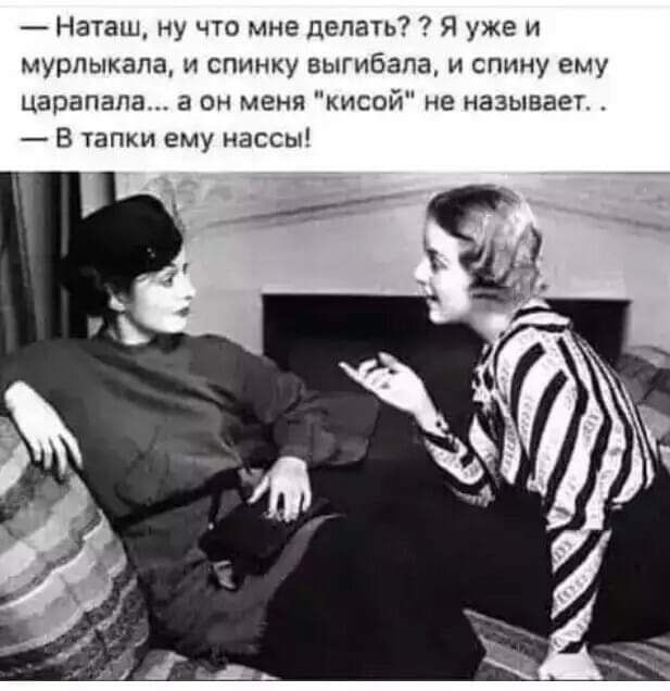 Наташ ну что мне делать Я уже и мурлыкала и спинку выгибапа и спину ему царапапа а он меня кисой не называет В тапки ему нассы