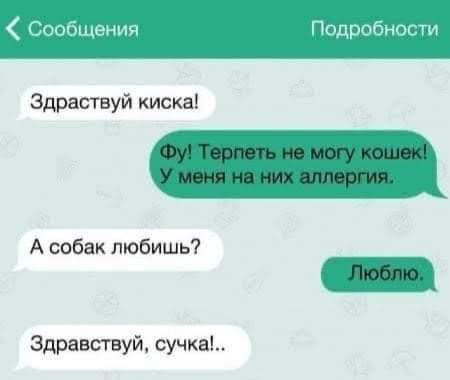 ния Здраствуй киска А собак любишь Здравствуй сучка