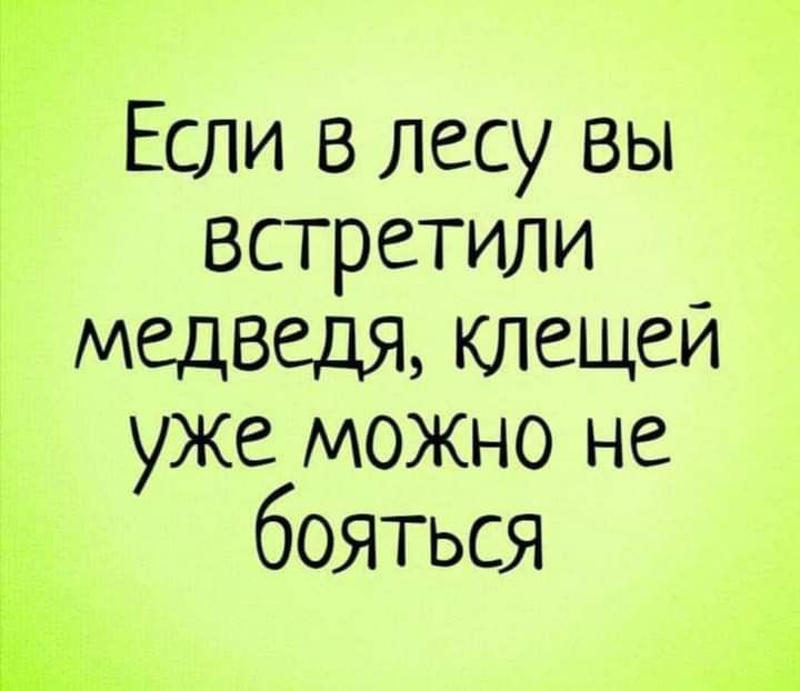 г Если в лесу вы встретили медведя клещеи 1 уже можно не бояться