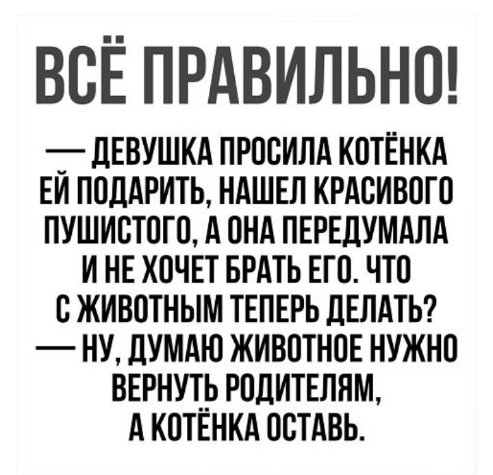 ВСЁ ПРАВИЛЬНО _ дЕВУШКА просилА котвнкд ЕИ ПОДАРИТЬ ндшвл КРАсивого пушистого А пнд ПЕРЕДУМАЛА и не хочет БРАТЬ его что сживотным твпврь ДЕЛАТЬ ну дУМАЮ животнпЕ нужно ввгнльюдитвлям А КПТЕНКА пстдвь