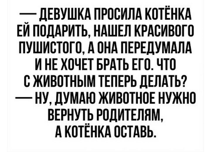 _ ДЕВУШКА просилд котёнкд ЕИ ПОДАРИТЬ НАШЕЛ КРАсивого пушистого А пнд ПЕРЕДУМАЛА и нв хпчвт БРАТЬ его что сживотным ТЕПЕРЬ ДЕЛАТЬ ну дУМАЮ животнпЕ нужно вернутр Родитвлям А котвнкд всТАвь