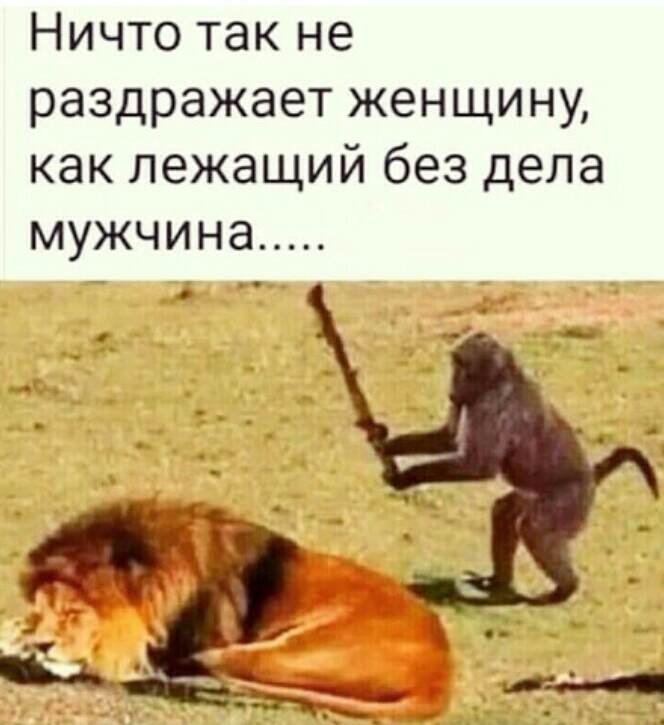 Ничто так не раздражает женщину как лежащий без дела МУЖЧИНЭ