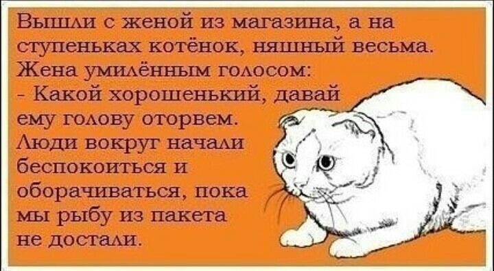 т Вышш с женой из магазина на сгупеньках котёнок нящнъпі весьма Жена умиххённым гохюсом Какой хорошенький давай А ему ГОАОВУ оторвем Аюди вокруг начали беспокоиться И оборачиваться пока мы рыбу из пакета не достаАи