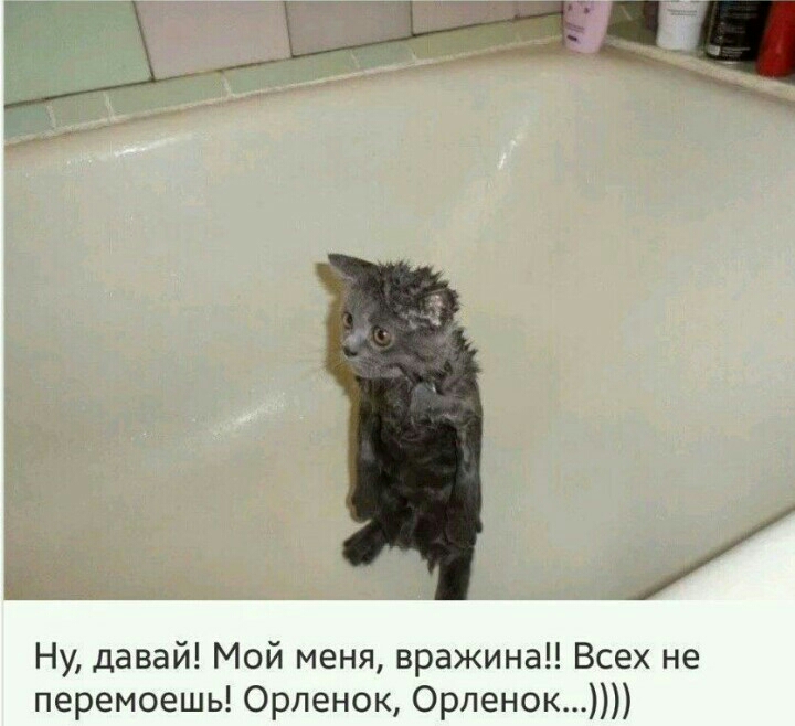 Ну давай Мой меня вражина Всех не перемоешь Орленок Орленок