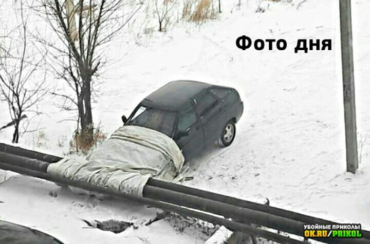 Фото дня пойиыі пинком пилп