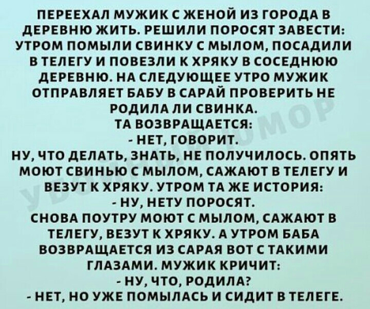 ПЕРЕЕХАЛ МУЖИК С ЖЕНОЙ ИЗ ГОРОДА В ДЕРЕВНЮ ЖИТЬ РЕШИЛИ ПОРОСЯТ ЗАВЕСТИ УТРОМ ПОМЫЛИ СВИНКУ С МЫЛОМ ПОСАДИЛИ В ТЕЛЕГУ И ПОВЕЗЛИ К ХРЯКУ В СОСЕДНЮЮ дЕРЕВНЮ НА СЛЕДУЮЩЕЕ УТРО МУЖИК ОТПРАВЛЯЕТ БАБУ В САРАЙ ПРОВЕРИТЬ НЕ РОДИЛА ЛИ СВИНКА ТА ВОЗВРАЩАЕТСЯ НЕТ ГОВОРИТ НУ ЧТО ДЕЛАТЬ ЗНАТЬ НЕ ПОЛУЧ ИЛОСЬ ОПЯТЬ МОЮТ СВИНЫО С МЫЛОМ САЖАЮТ В ТЕЛЕГУ И ВЕЗУТ К ХРЯКУ УТРОМ ТА ЖЕ ИСТОРИЯ НУ НЕТУ ПОРОСЯТ СНОВА ПОУТР