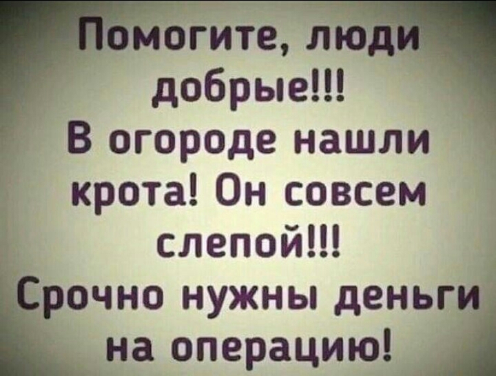 могите лю _ добрые В огороде нашли крота Он совсем слепойН рочно нужны деньг __на операцию Я