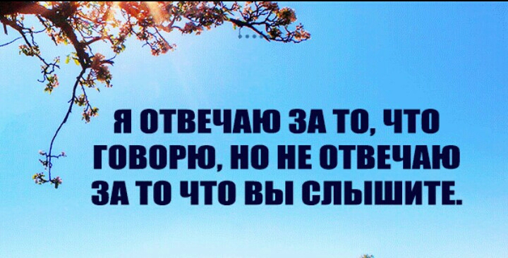 П ТВЕЧПЮ 311 то что ГОВОРЮ но ТВЕЧАЮ ЗА то что ВЫ ВПЫШИТЕ