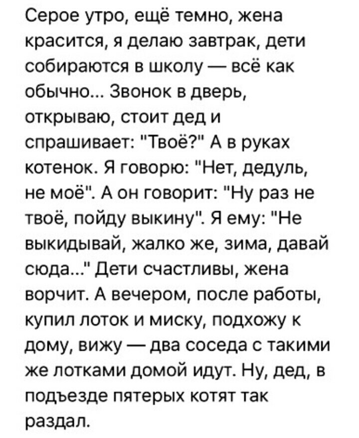 Серое утро ещё темно жена красится я делаю завтрак дети собираются в школу всё как обычно Звонок в дверь открываю стоит дед и спрашивает Твоё А в руках котенок Я говорю Нет дедупь не моё А он говорит Ну раз не твоё пойду выкину Я ему Не выкидывай жалко же зима давай сюда Дети счастливы жена ворчит А вечером после работы купил поток и миску подхожу к дому вижу два соседа с такими же потками домой и