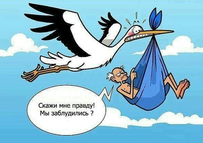 Скажи мне правду Мы заблудились