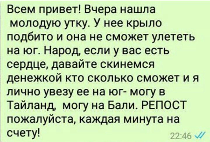 Всем привет Вчера нашла молодую утку У нее крыло подбито и она не сможет улететь на юг Народ если у вас есть сердце давайте скинемся денежкой кто сколько сможет и я лично увезу ее на юг могу в Тайланд могу на Бали РЕПОСТ пожалуйста каждая минута на счету