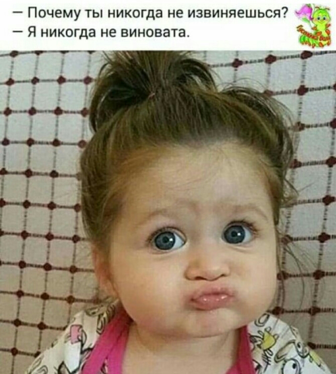 Почему ты никогда не извиняешься Я никогда не виновата Нч