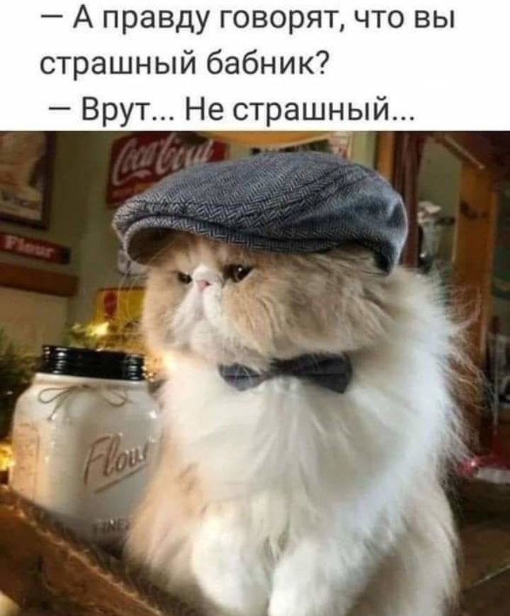 _ А правду говорят ЧТО ВЫ страшный бабник Врут Не страшный