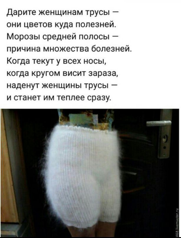 Дарите женщинам трусы они цветов куда полезней Морозы средней полосы причина множества болезнейс Когда текут у всех носы когда кругом висит зараза наденут женщины трусы и станет им теплее сразу