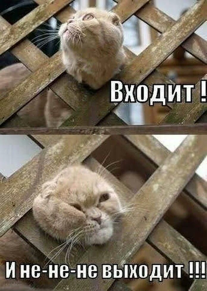 5 г И не не не выходит ё _