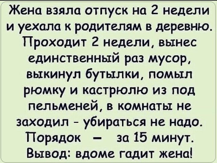 Жена взяла отпуск на 2 недели и уехала к родителям в деревню Проходит 2 недели вынес единственный раз мусор выкинул бутылки помыл рюмку и кастрюлю из под пельменей 8 комнаты не заходил убираться не надо Порядок за 15 минут Выв0д вдоме гадит жена