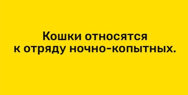 котрядупшио коштнщ