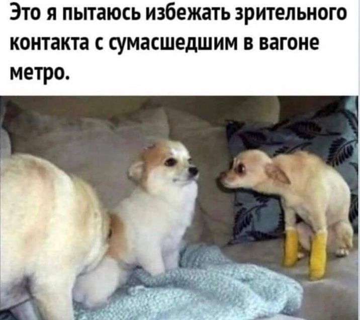 Это я пьпаюсь избежать зрительного контакта с сумасшедшим в вагоне метро