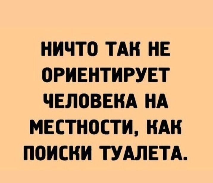 НИЧТО ТАК НЕ ОРИЕНТИРУЕТ ЧЕЛОВЕКА НА МЕСТНОСТИ ИАН ПОИСИИ ТУАЛЕТА