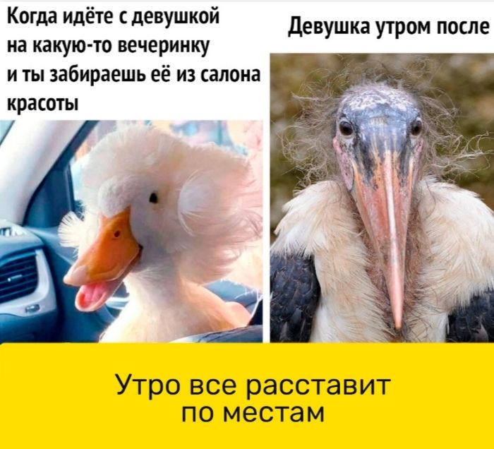 Когда идёте девушкой Де на какую то вечеринку и ты забираешь её из салона красоты вушка утром после Утро все расставит по местам