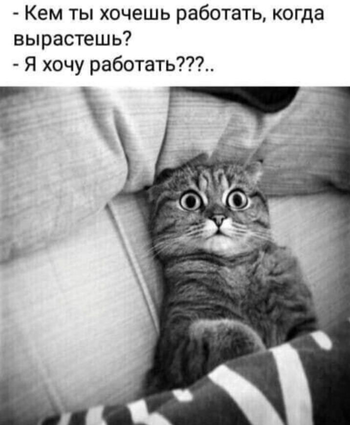 Кем ты хочешь работать когда вырастешь Я хочу работать