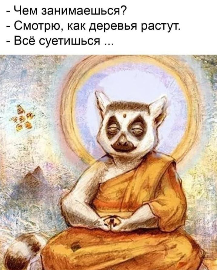Чем занимаешься Смотрю как деревья растут Всё суетишься