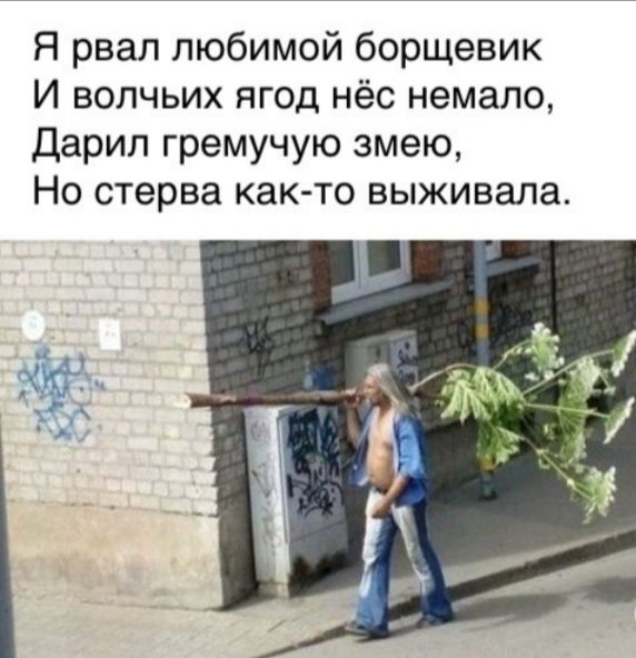 Я рвал любимой борщевик И волчьих ягод нёс немало Дарип гремучую змею Но стерва както выживала