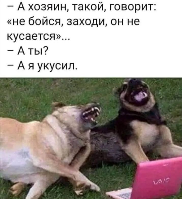 А хозяин такой говорит не бойся заходи он не кусается А ты А я укусил