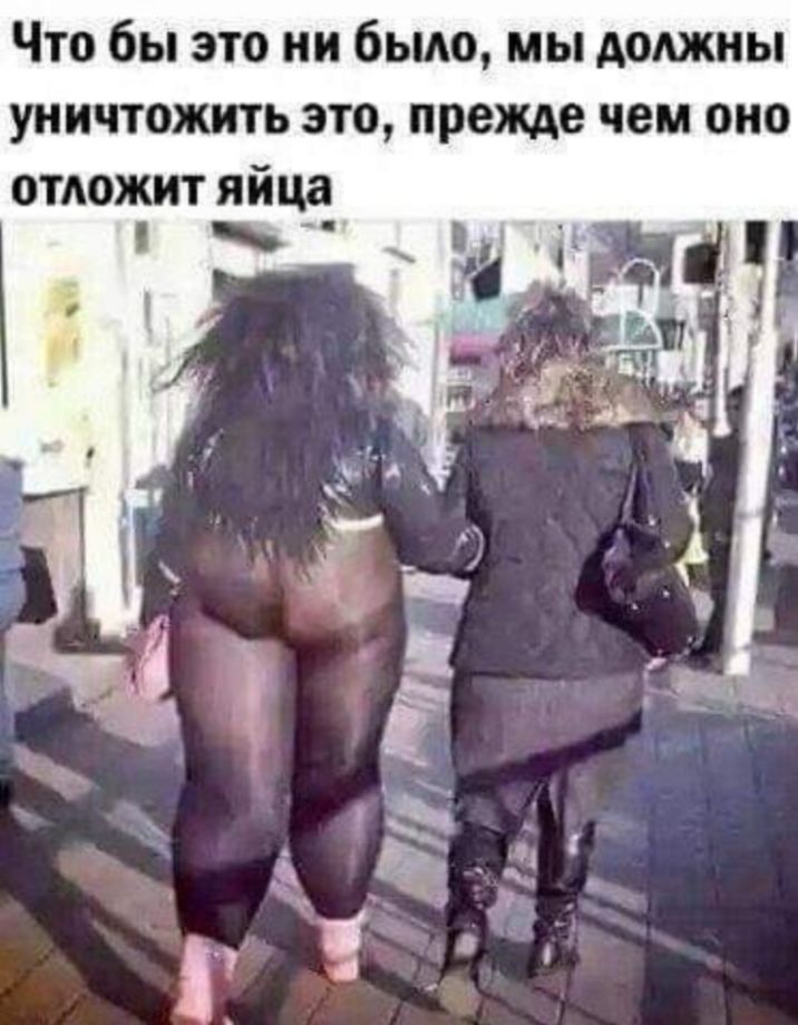 Что бы это ни быт мы должны уничтожить это прежде чем ОНО отложит яйца