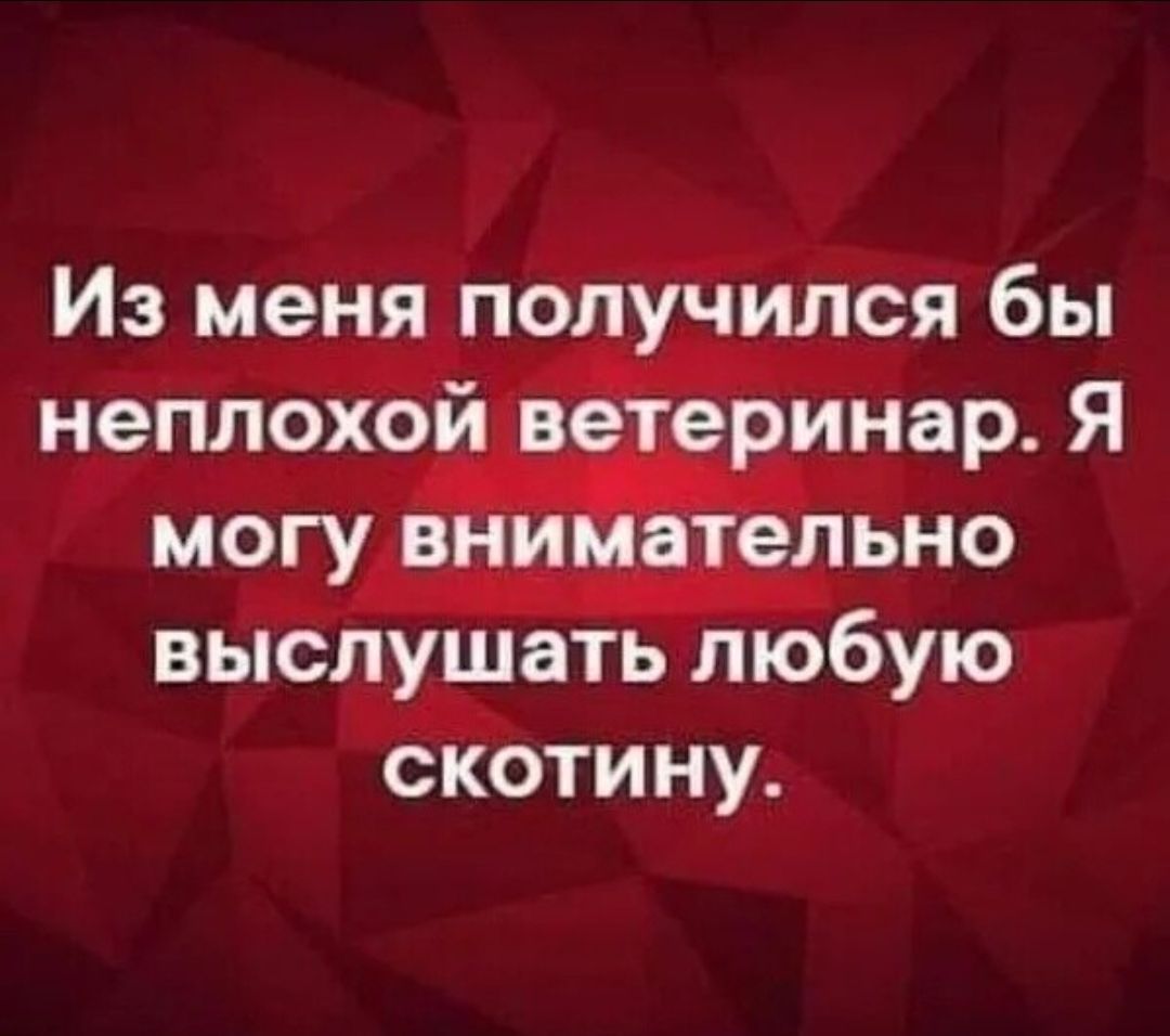 Из меня попуйился бы нетіохой ийар Я могу в епьно выслушать любую скотину