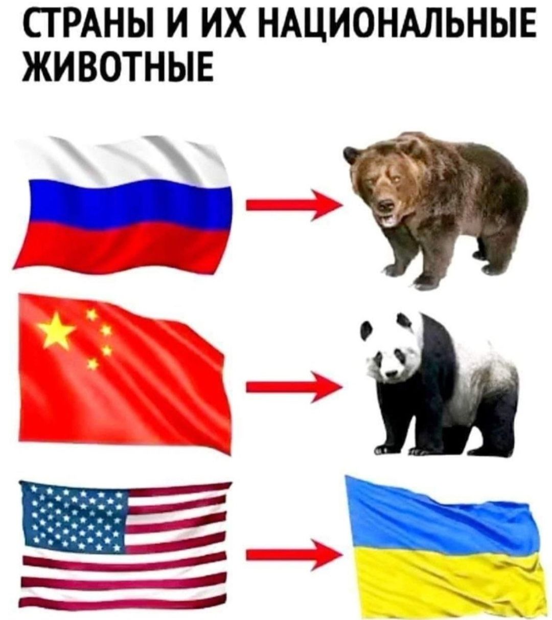 СТРАНЫ И ИХ НАЦИОНАЛЬНЫЕ ЖИВОТНЫЕ Ё тэн __