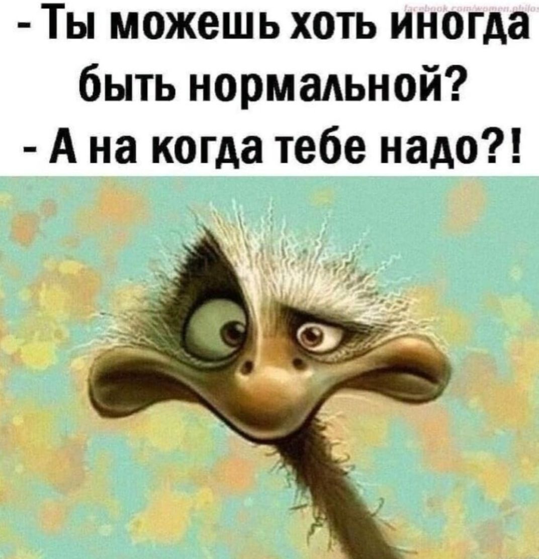Ты можешь хоть иногда быть нормальной А на когда тебе надо