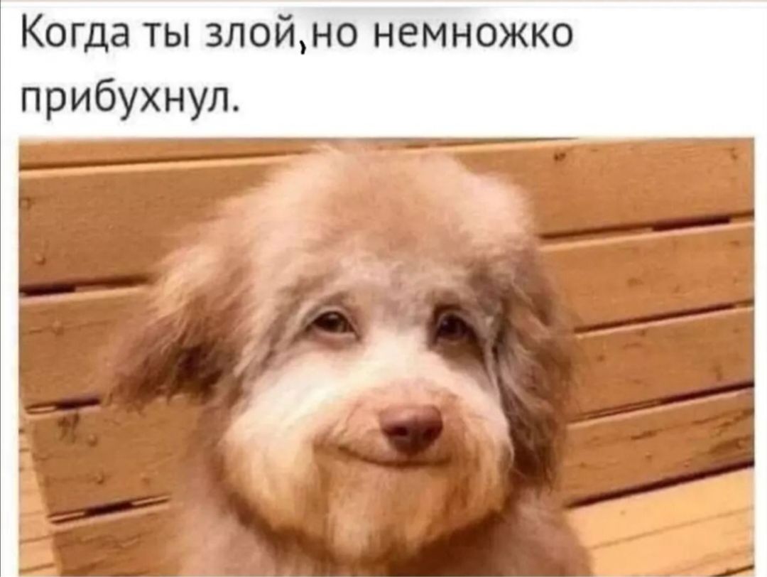 Когда ты зпойно немножко прибухнуп